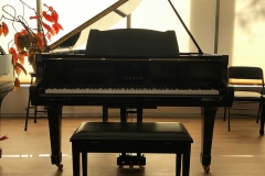 IMG_6193 IMG_6193